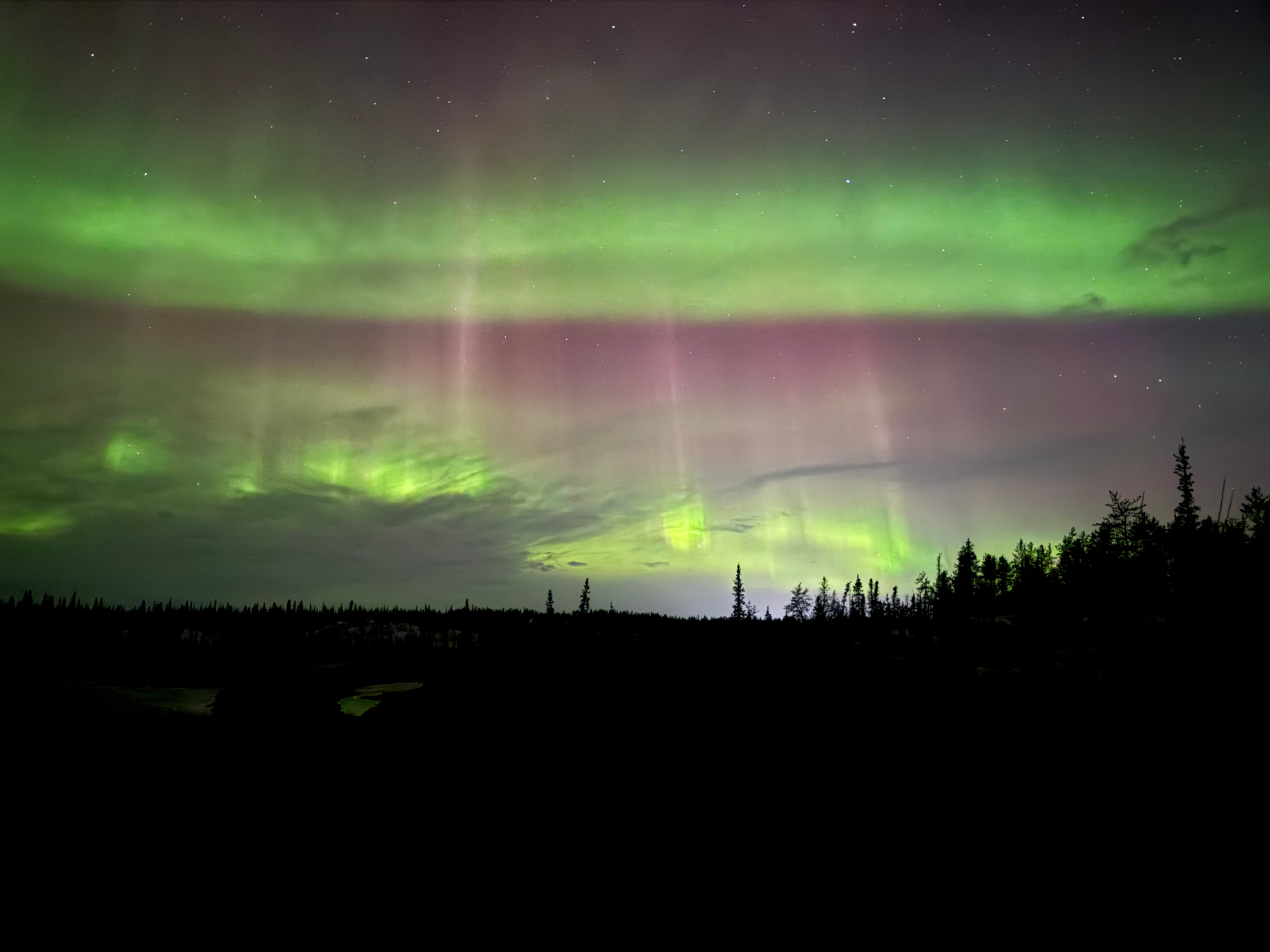Pink and green aurora borealis dancing over boreal wilderness near Yellowknife