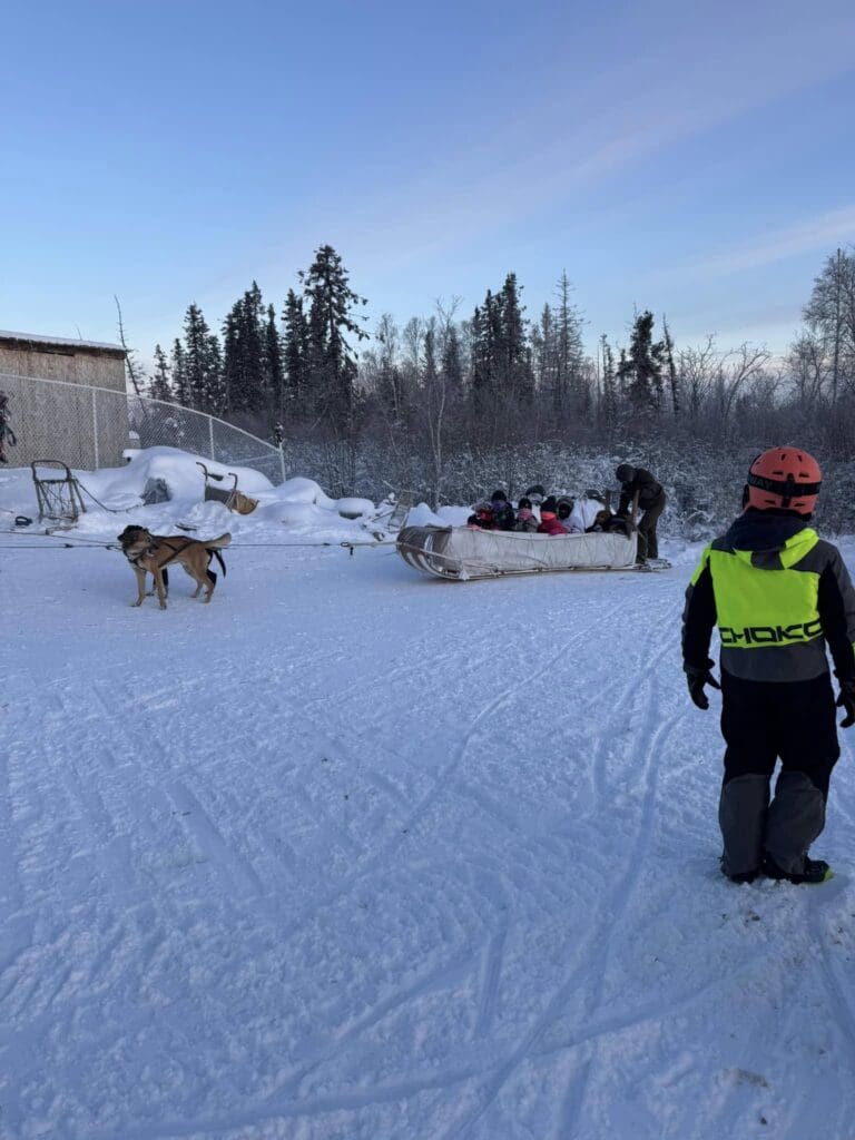 Dog Sledding
