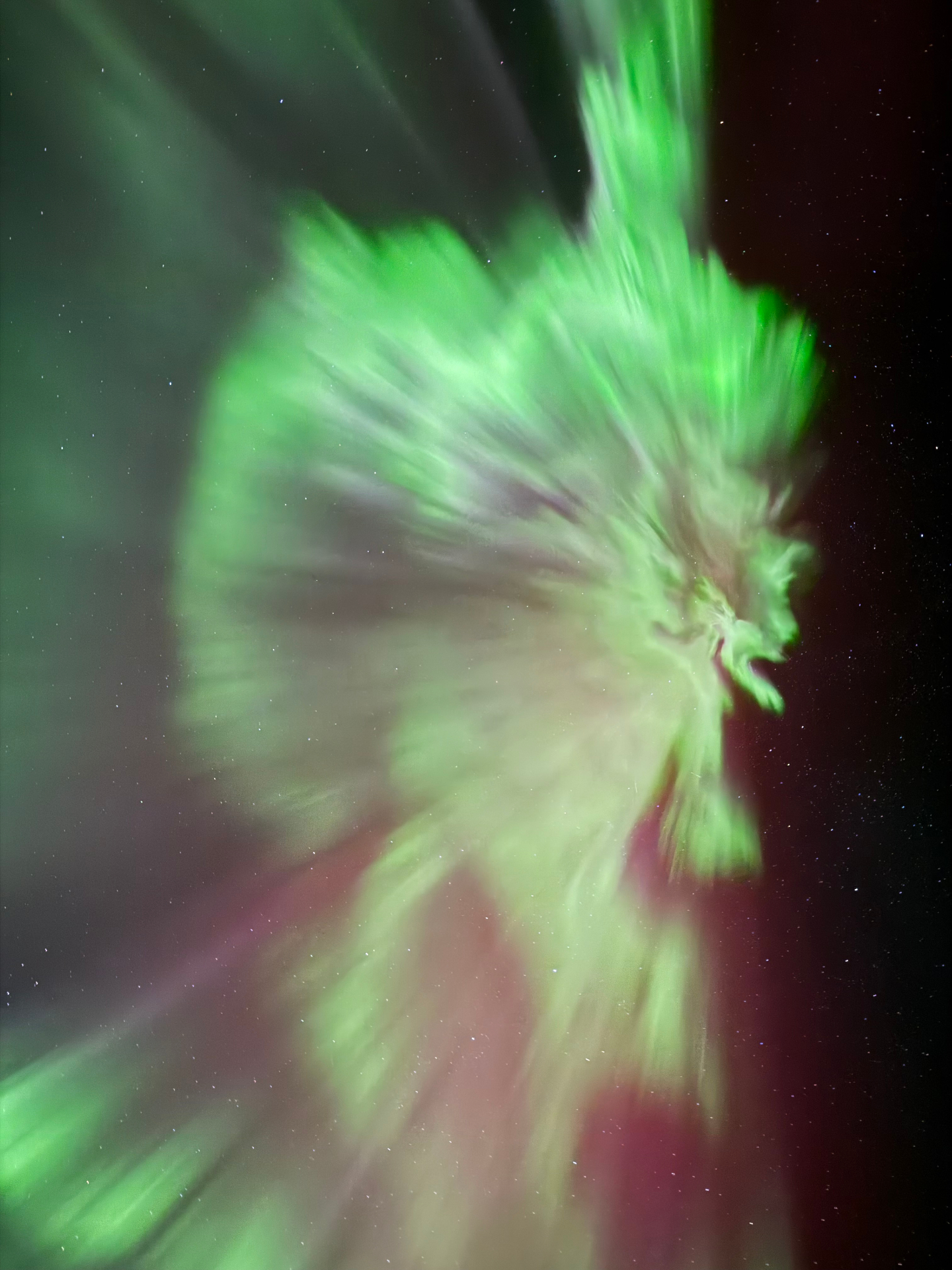 Warm Cabin Aurora Viewing